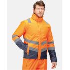 Model wearing Regatta Hi Vis Pro Hi Vis Insulated Parka