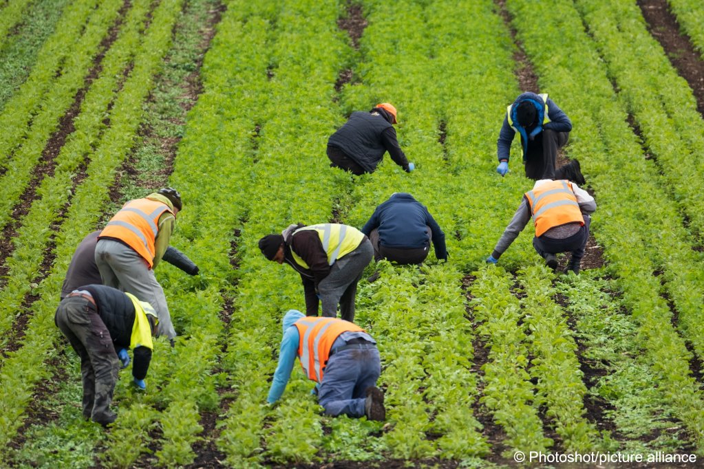 People wearing Hi Vis Vests working in a farm field